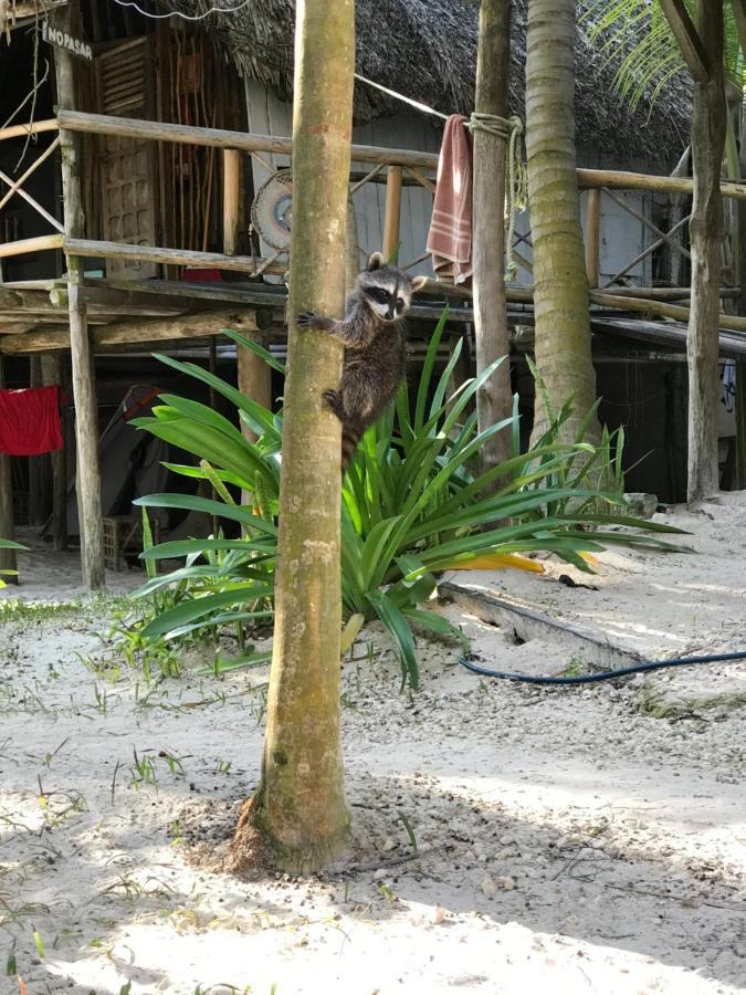 Camping Chavez Tulum Exterior foto